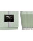 NEST 3-Wick Candle Mint & Eucalyptus